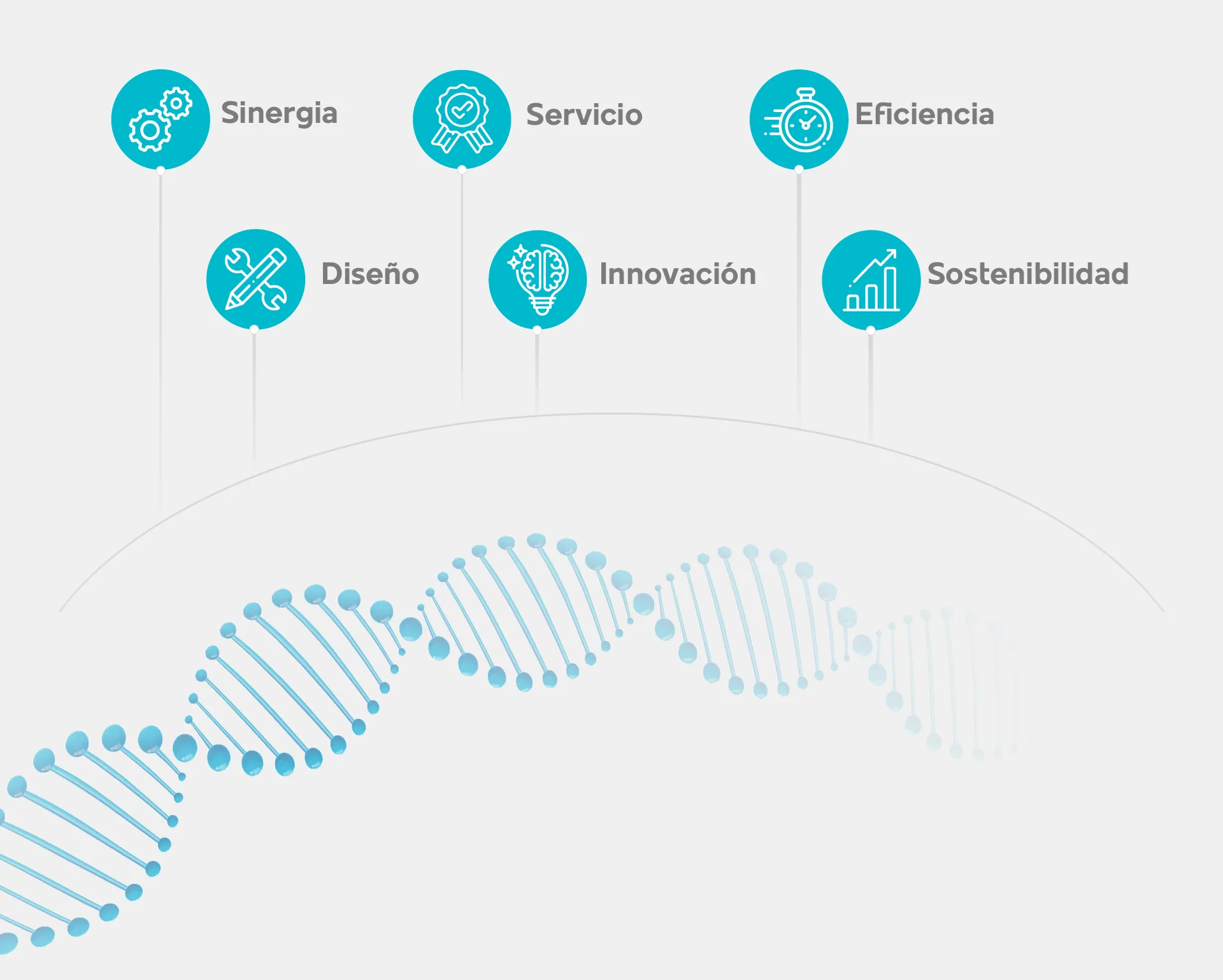 Nuestro ADN: Sinergia, Servicio, Eficiencia, Diseño, Innovación, Sostenibilidad